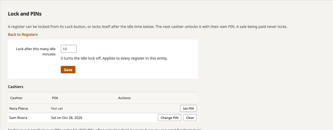Lock and PINs page with a 10 minute idle lock
